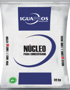 NÚCLEO CONFINAMENTO