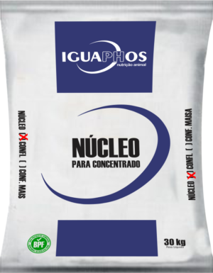 NÚCLEO CONFINA MAIS